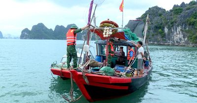 Quảng Ninh: Tăng cường xử lý nạn khai thác tận diệt trên biển