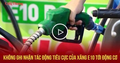 Không ghi nhận tác động tiêu cực của xăng E10 tới động cơ