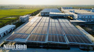 Điện năng lượng mặt trời: Giải pháp cho mùa cao điểm tại Ninh Bình