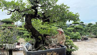 Rực rỡ sắc hoa Nam Điền