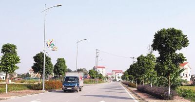 Bắc Ninh dừng thực hiện dự án khu nhà ở đấu giá đất tại xã Kim Chân