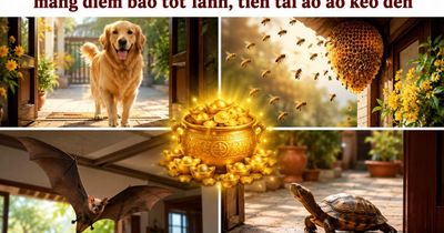 Các cụ dặn: 4 con vật vào nhà mang điềm báo tốt lành, tiền tài ào ào kéo đến, đừng dại đuổi đi mất hết lộc