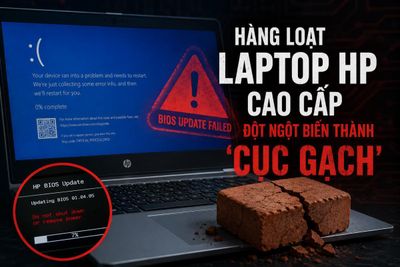 Hàng loạt laptop HP cao cấp thành 'cục gạch' sau cập nhật Windows