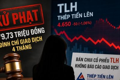 Người nhà lãnh đạo Thép Tiến Lên bị phạt gần 480 triệu đồng vì bán chui cổ phiếu