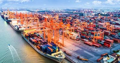 Chi phí logistics gây sức ép lên xuất khẩu sang Nam Mỹ