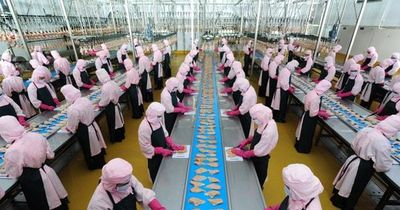 Hà Nội xây dựng mô hình giết mổ tập trung, siết chặt an toàn thực phẩm