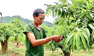 Cựu chiến binh năng động