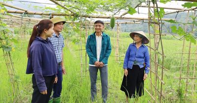 Khánh Yên chuyển mình trong tư duy phát triển nông nghiệp