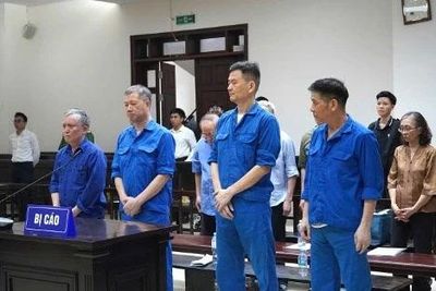 Vì sao cựu Tổng Giám đốc VICEM vắng mặt tại phiên tòa phúc thẩm?