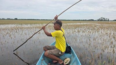 Nông dân bắt đầu 'phòng thân' trước rủi ro khí hậu bằng bảo hiểm và tín dụng xanh