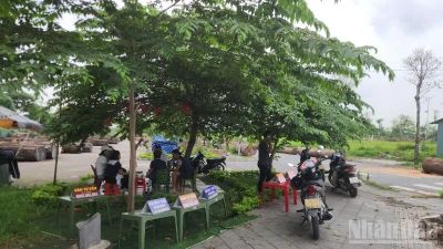 Xuất hiện tình trạng quảng cáo, môi giới mua bán đất tái định cư tại xã Thư Lâm (Hà Nội)