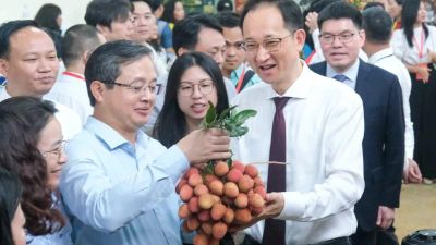 Bắc Ninh thúc đẩy chuỗi liên kết, nâng cao giá trị vải thiều