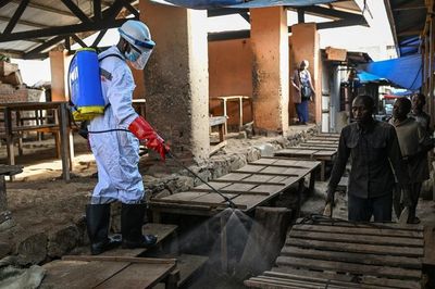 Chạy đua phát triển vắc-xin Ebola