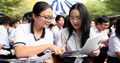 UBND TPHCM yêu cầu siết chặt kiểm tra, giám sát các cơ sở đào tạo