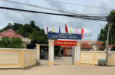 Nam sinh lớp 5 chấn thương sọ não sau khi bạn 'tác động' trước ngày nghỉ hè