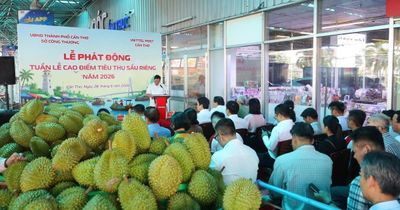 Cần Thơ 'giải cứu' sầu riêng
