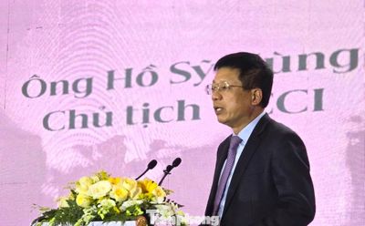 'Vấn đề không phải thiếu doanh nghiệp, mà là doanh nghiệp không lớn được'