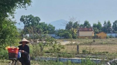 Đà Nẵng ban hành đơn giá bồi thường mới