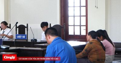 Trả giá vì chiêu trò lừa đưa người đi du học