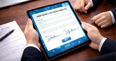 Hợp đồng lao động điện tử được cấp mã định danh từ ngày 1/7