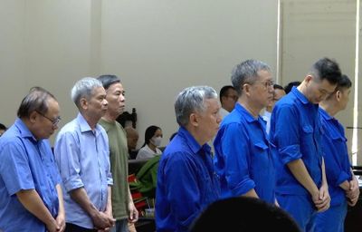 Dàn cựu lãnh đạo Tổng Công ty Xi măng Việt Nam hầu tòa phúc thẩm