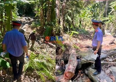 Dự án đường trăm tỉ đi qua, rừng phòng hộ 'ngã' xuống: Viện kiểm sát vào cuộc, bảo vệ lợi ích công