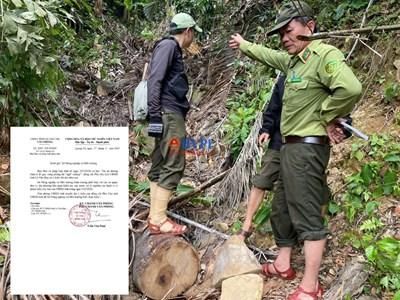 Dự án đường trăm tỉ đi qua, rừng phòng hộ 'ngã' xuống: UBND tỉnh Quảng Trị chỉ đạo kiểm tra, xử lý nghiêm các hành vi vi phạm