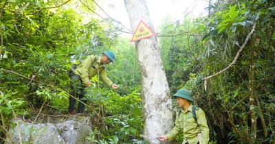 Nghệ An: Kiểm lâm căng mình giữ rừng giữa nắng nóng hơn 40 độ C
