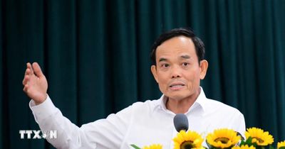 Thành ủy Thành phố Hồ Chí Minh cho ý kiến đối với dự thảo Luật Đô thị đặc biệt