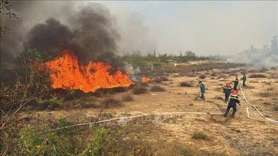 Khẩn trương dập lửa cháy rừng ven biển tại xã Quảng Ninh, Quảng Trị