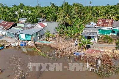 Cần Thơ oằn mình trước 54 điểm sạt lở đầu mùa mưa