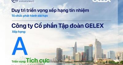 Quý 1/2026: GELEX lãi 806 tỷ đồng, tăng 24,9% so với cùng kỳ