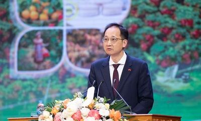 Đại sứ quán Trung Quốc hỗ trợ nông sản, vải thiều Bắc Ninh vươn xa