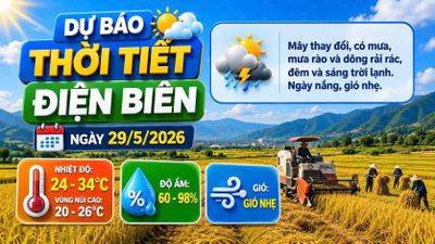 Bản tin Dự báo thời tiết ngày 29/5/2026