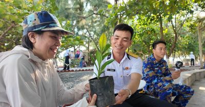 Mầm xanh trên cát mặn ở đảo Sinh Tồn Đông