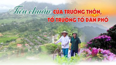 Quy định tiêu chuẩn của Trưởng thôn, Tổ trưởng tổ dân phố