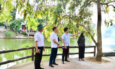 Đoàn giám sát của Thường trực HĐND tỉnh khảo sát tại phường Đông Kinh