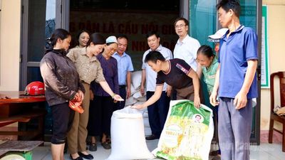 Tuyên Quang cấp hơn 1.045 tấn gạo hỗ trợ Nhân dân thời kỳ giáp hạt