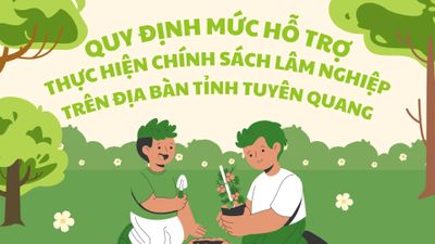 Nghị quyết Quy định mức cấp kinh phí, mức hỗ trợ từ ngân sách nhà nước thực hiện một số chính sách về lâm nghiệp trên địa bàn tỉnh Tuyên Quang
