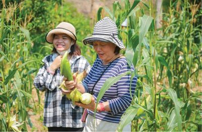Giữ chân du khách ở Bản Dỗi