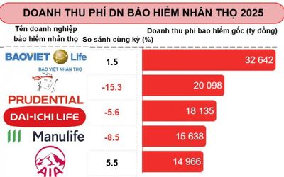 Thị trường bảo hiểm nhân thọ 'sáng dần', song nhiều doanh nghiệp lợi nhuận vẫn 'rùa bò'