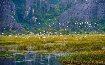 Hoàn thiện mô hình quản trị vườn quốc gia và khu bảo tồn thiên nhiên tại Việt Nam