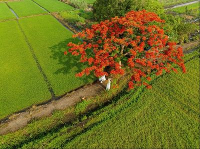 Nhặt những tháng năm