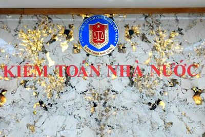 Thành lập Ban Chỉ đạo đánh giá thực hiện Chiến lược phát triển Kiểm toán nhà nước đến năm 2030