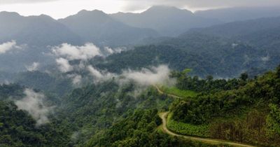 Loài động vật đã biến mất khỏi thế giới, nay được ghi nhận tại Việt Nam quý hiếm đến mức nào?