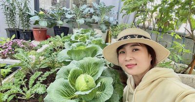 Cặp vợ chồng ở Đà Nẵng biến sân thượng 60 m² thành 'nông trại mini', rau trái xanh mướt quanh năm