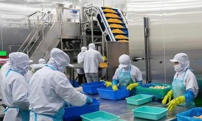 'Nhà để ở, không phải để đầu cơ': Khởi đầu cho một chu kỳ phát triển mới: Bài 3: Nếu không chảy vào bất động sản, dòng tiền sẽ đi về đâu để tăng trưởng?