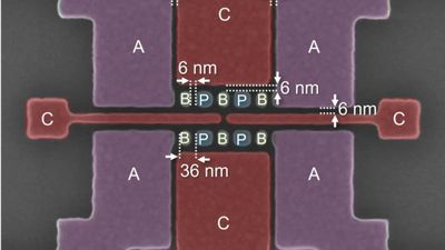 Chip lượng tử 6 nm đầu tiên thế giới có thể chứa hàng triệu qubit vào một tấm silicon