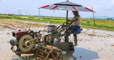 Chủ động phòng tránh say nắng, sốc nhiệt mùa nắng nóng