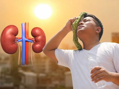 Cơ thể thiếu nước giữa nắng nóng, thận có thể chịu tổn thương nghiêm trọng